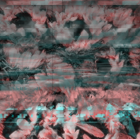 Screen Shot 2018-07-10 at 8.25.51 PM.png